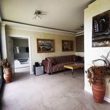Sremska Kamenica Lux Vila Aleksandar מראה חיצוני תמונה