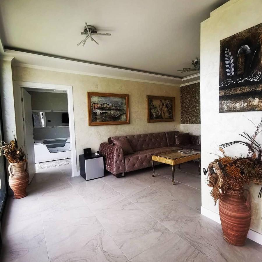 Sremska Kamenica Lux Vila Aleksandar מראה חיצוני תמונה